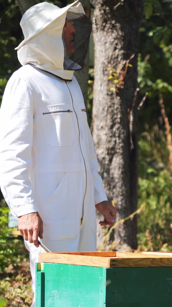 Beekeeper is working with bees and beehives on the apiary. Beekeeper on apiary. Vertical video