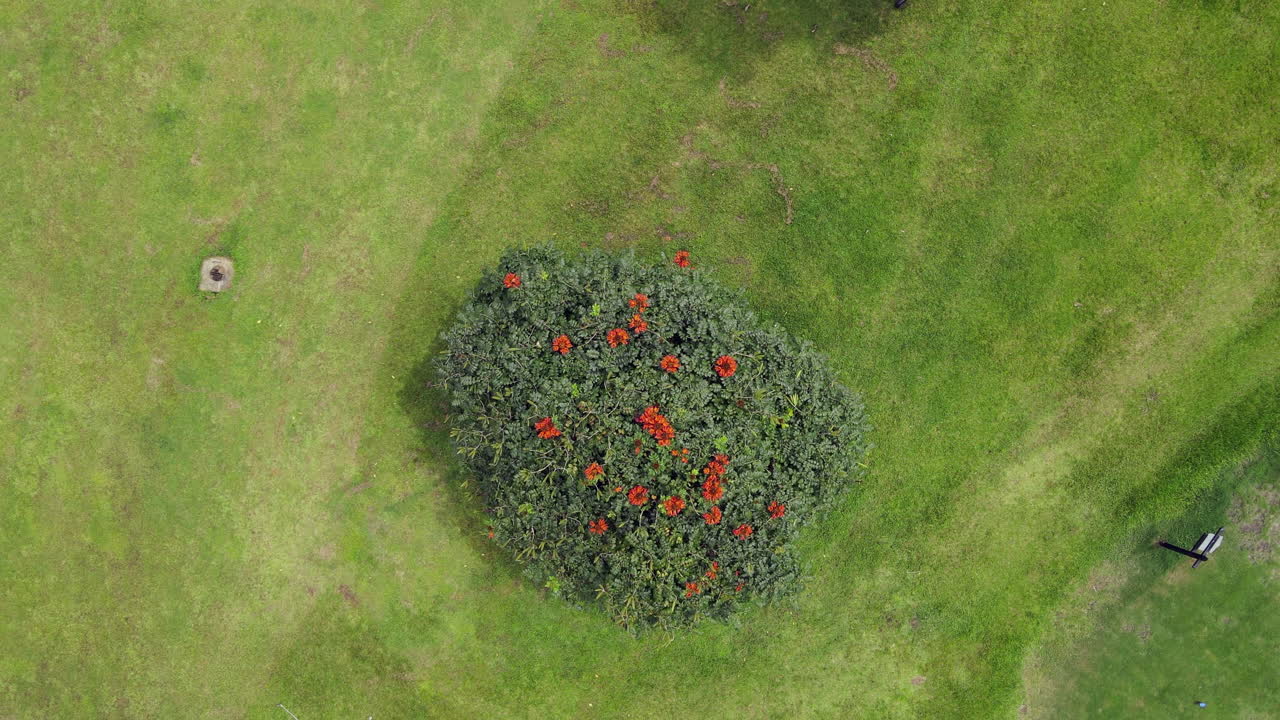 콜롬비아 동부 평야 - llanos orientales 20