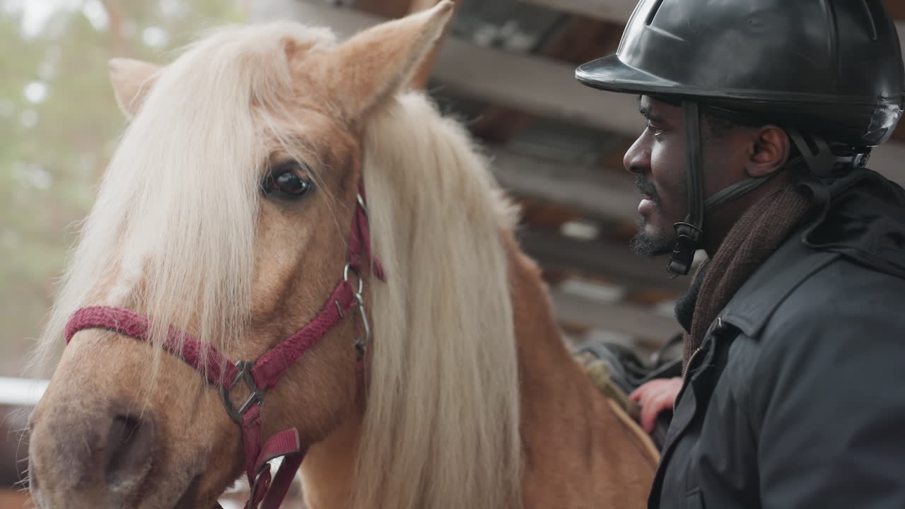 preparación de escena ecuestre al amanecer, preparando al caballo y al jinete a primera hora, preparando al caballo y al jinete antes de que comience el amanecer, alistando al caballo y al jinete para la actividad al aire libre a primera hora de la mañana