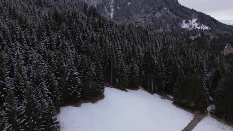 Kleine-Hütte-In-Den-Bergen-In-Österreich-Im-Winter-Mit-Schneebedecktem-Kiefernwald