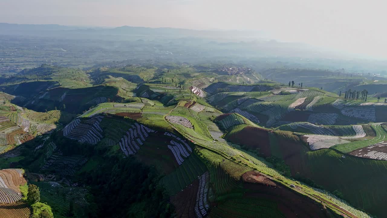 random patterns of vegetable plantations on the hills. Aerial scenery rural landscape of agricultural field.