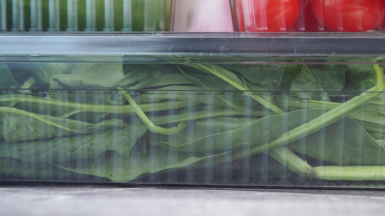 Fresh Green Spinach in a Clear Plastic Container