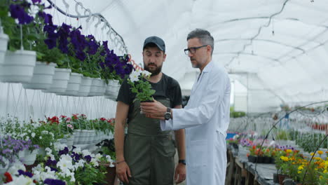 greenhouse worker consulting with expert