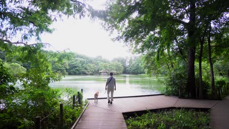 好多人喺夏天帶著寵物喺東京嘅公園行走