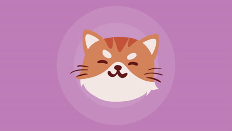 cute little cat head animation