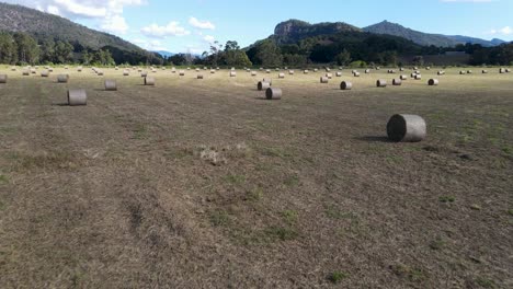 a fast moving drone video flying over a paddock full of large rounded bales of freshly cut hay with a scenic mountain view