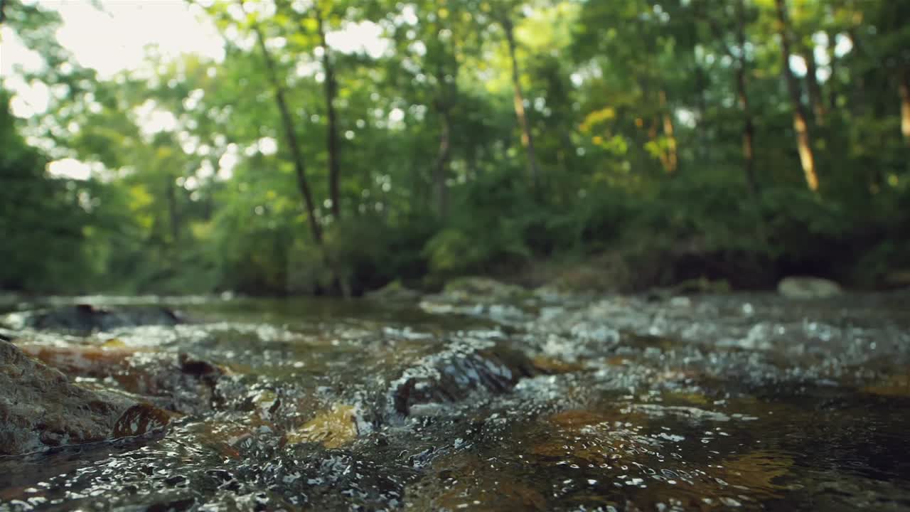 Lavvinkel slowmotion-optagelse af vand, der strømmer over en lavvandet bæk i en skov
