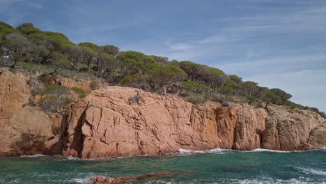 Coastal-landscape-panoramic-at-Cami-de-Ronda-Costa-brava-blue-waves-break-rocky-cliff-with-mediterranean-trees-scenery,-ocean-shore-at-Catalonia-Spain