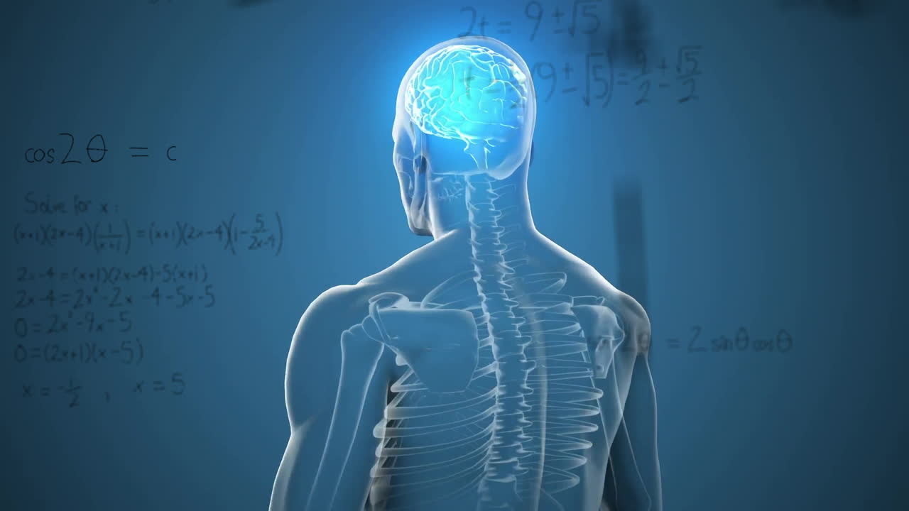 Animation of human skeleton with brain highlighted over mathematical equations