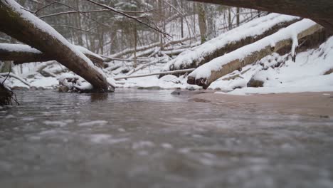 running river water with fallen treest in forest on a beautiful winter day