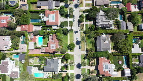 Drone-follows-white-or-silver-car-as-it-drives-up-beautiful-palm-tree-and-mansion-lined-street-in-classic,-sunkissed-West-Hollywood,-Los-Angeles,-Callifornia-neighborhood