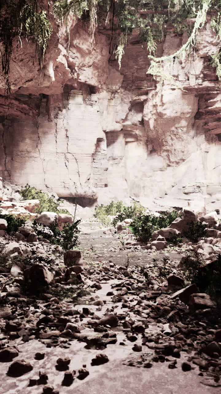 una vista de una cueva en un entorno rocoso, exuberante y selva