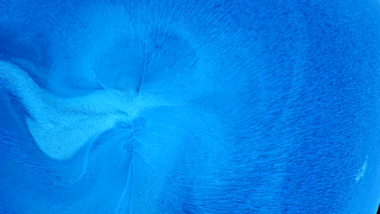 천사는 디테일에 있다