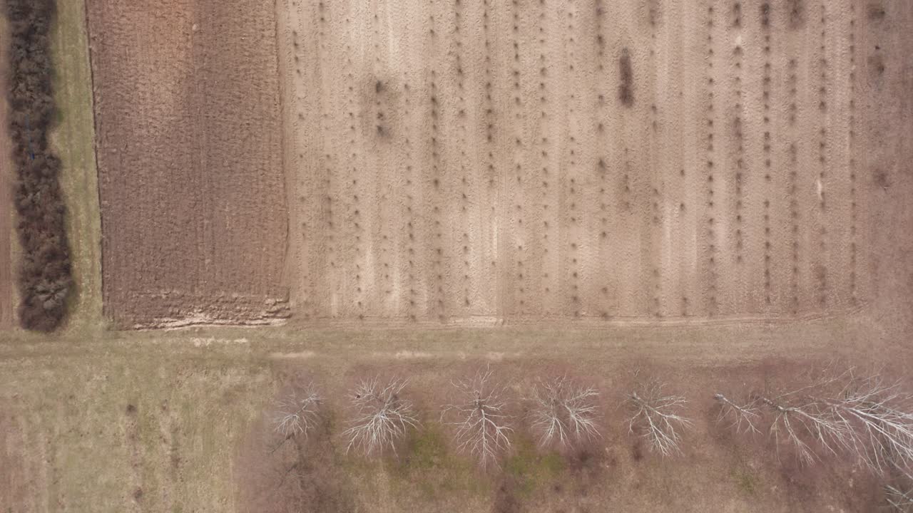 공중: 심을 준비가 된 들판 위를 날다