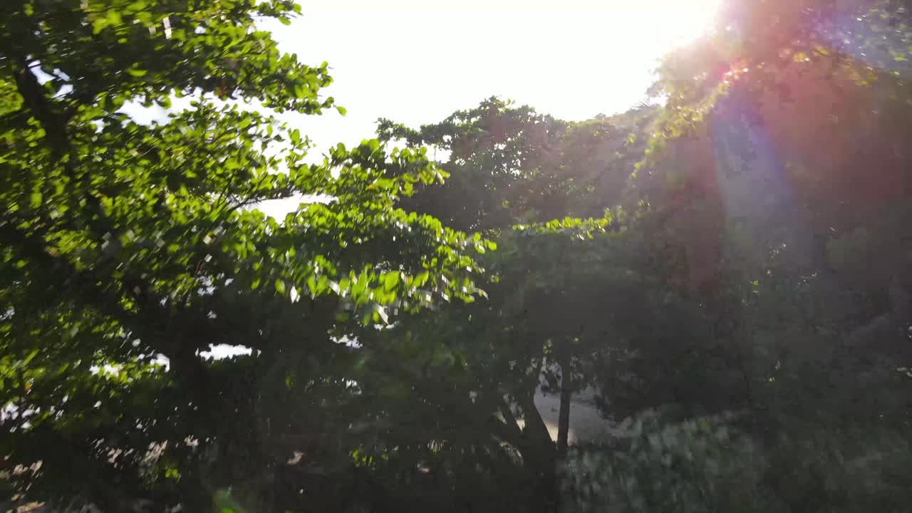 열대 우림에서 바다를 향해 이륙하는 드론 공중 샷