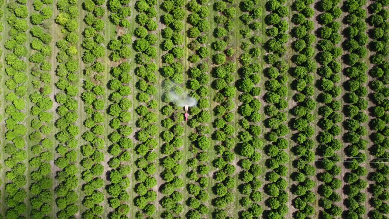vista aérea de pájaros tractor conduciendo y rociando fertilizante en el cultivo