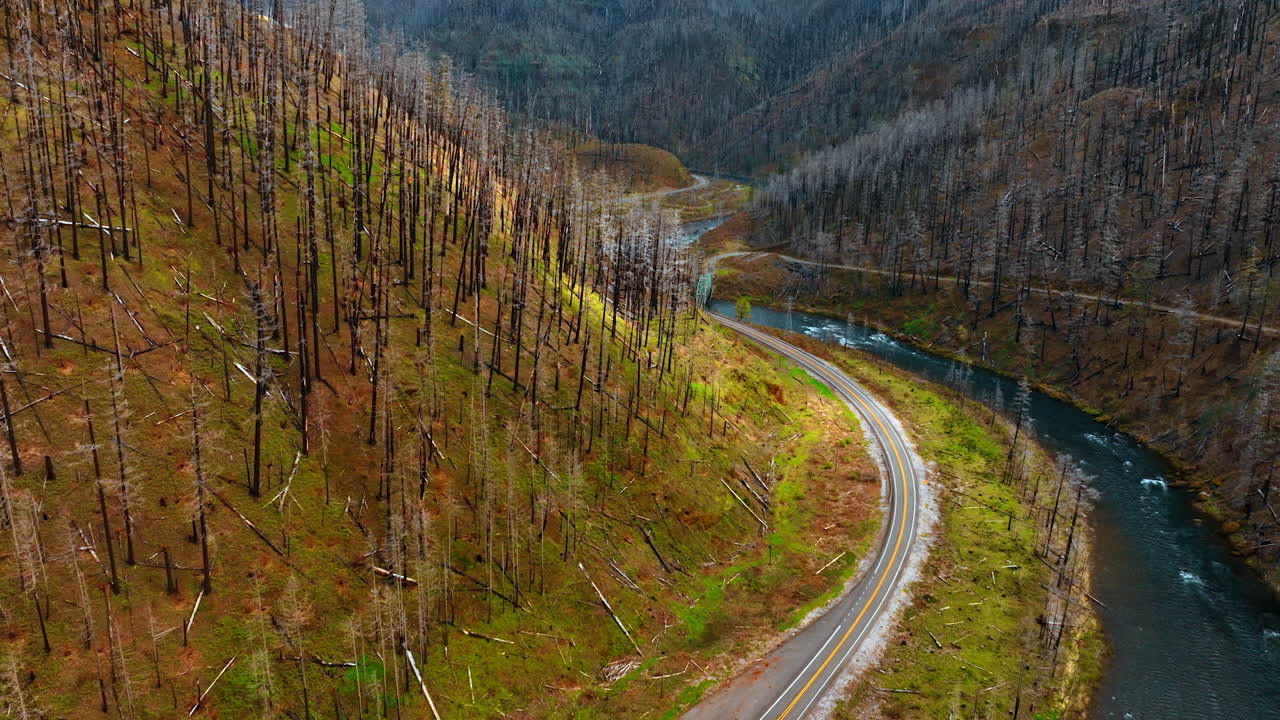 Steep bare mountains covered with dead tree trunks. A highway and river are at the foot of the rock.
