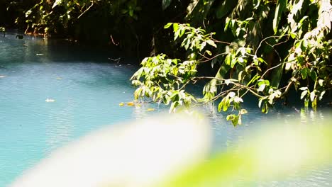 Beautiful-turquoise-water-of-the-rio-celeste-in-northern-Costa-Rica