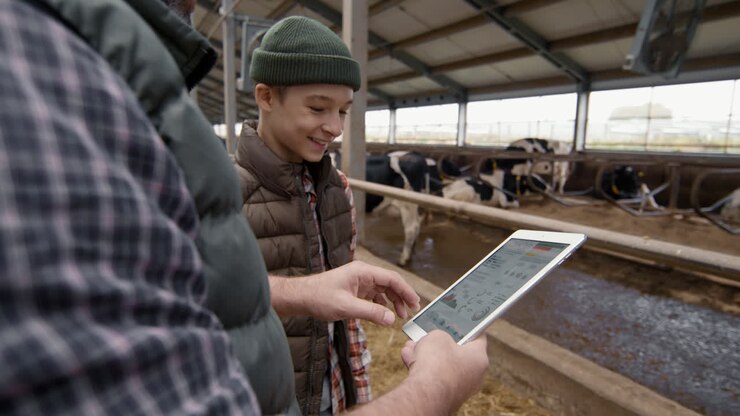 Man and Boy Looking at Tablet at Dairy Farm