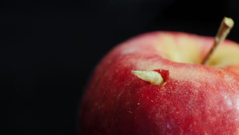 gusano sale de una manzana podrida 4