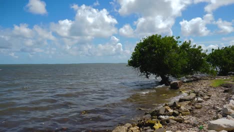 dirty sea shore in isabela de sagua