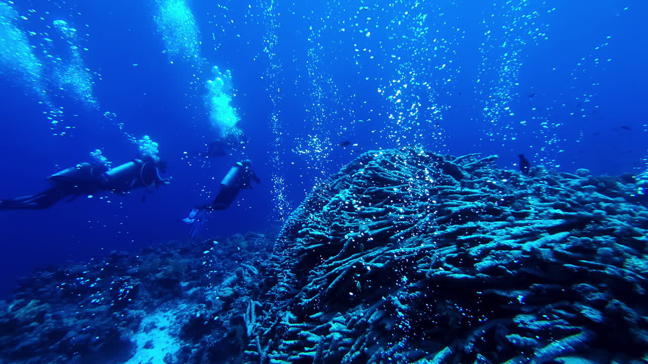 Recreational scuba diving in Dahab´s famous Blue Hole along beautiful coral reef, exploring the unique underwater world