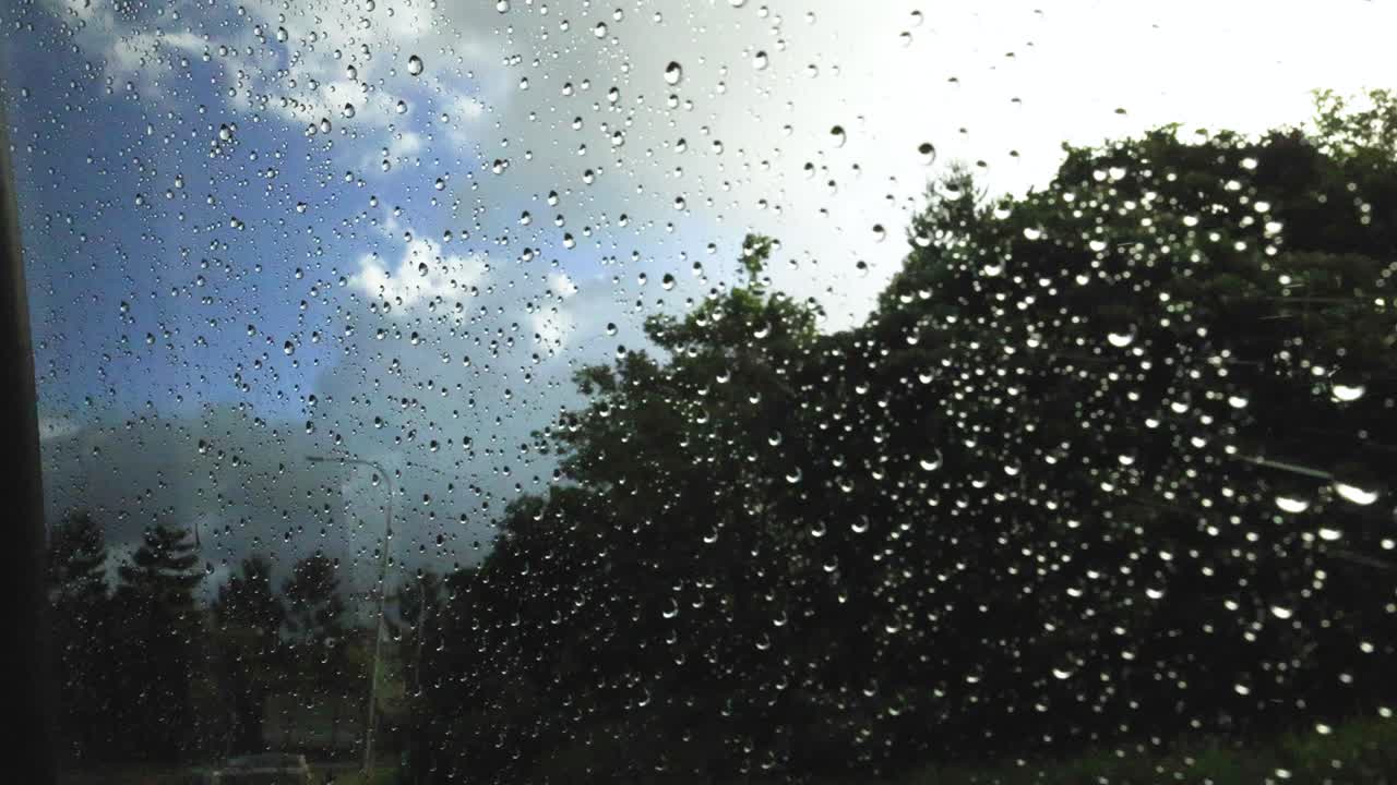 Raindrops on a car window with passing trees and changing light create a serene, moving landscape