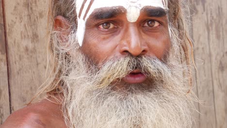 el retrato de un santo sadhu indio