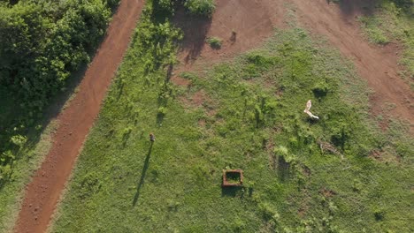 aerial birds eye view shot of a young boy flying a kite on a grassy area