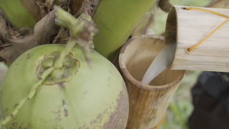 Toma-Superior-De-Verter-Néctar-De-Coco-Crudo-Recién-Cosechado-En-Un-Recipiente-De-Bambú