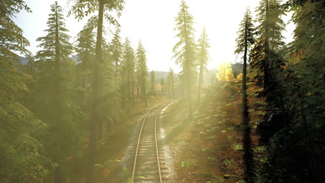 train tracks leading through a forest