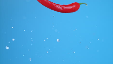 single large red chili bell pepper flying into the frame and flipping once with water droplets