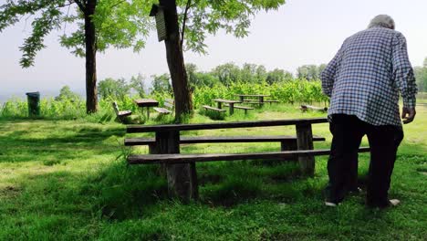 wooden benches and dishes in nature surrrounded by vineyards. an old man walks into the scene and sits down on the table