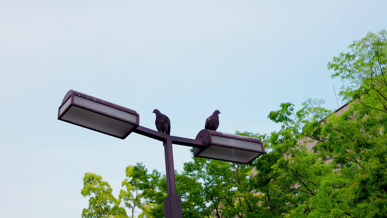 요코하마 최고의 전망