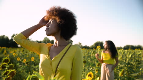 Frauen-In-Einem-Sonnenblumenfeld