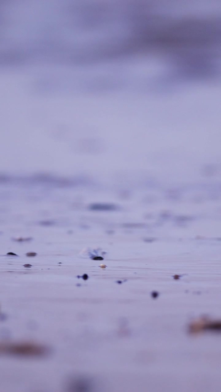 Close-up view of gentle ripples on a calm water surface under soft lighting. Ideal for use in meditation videos or nature documentaries.