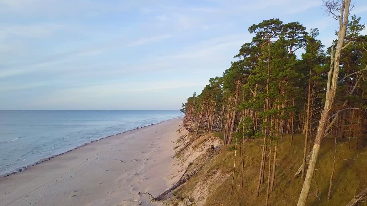 Beautiful aerial establishing view of Baltic sea coast on a sunny evening, golden hour, beach with white sand, coastal erosion, broken pine trees, climate changes, wide angle drone shot moving forward