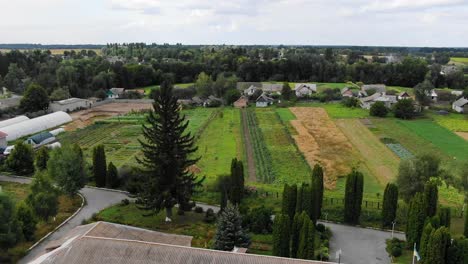 vista aérea de un jardín con diversos cultivos en un día de verano barrio revelador ascendente