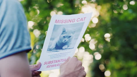 hands with the announcement of the missing animal - domestic cat