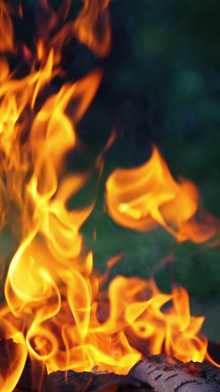 Burning log of wood. Close up view of big outdoor bonfire