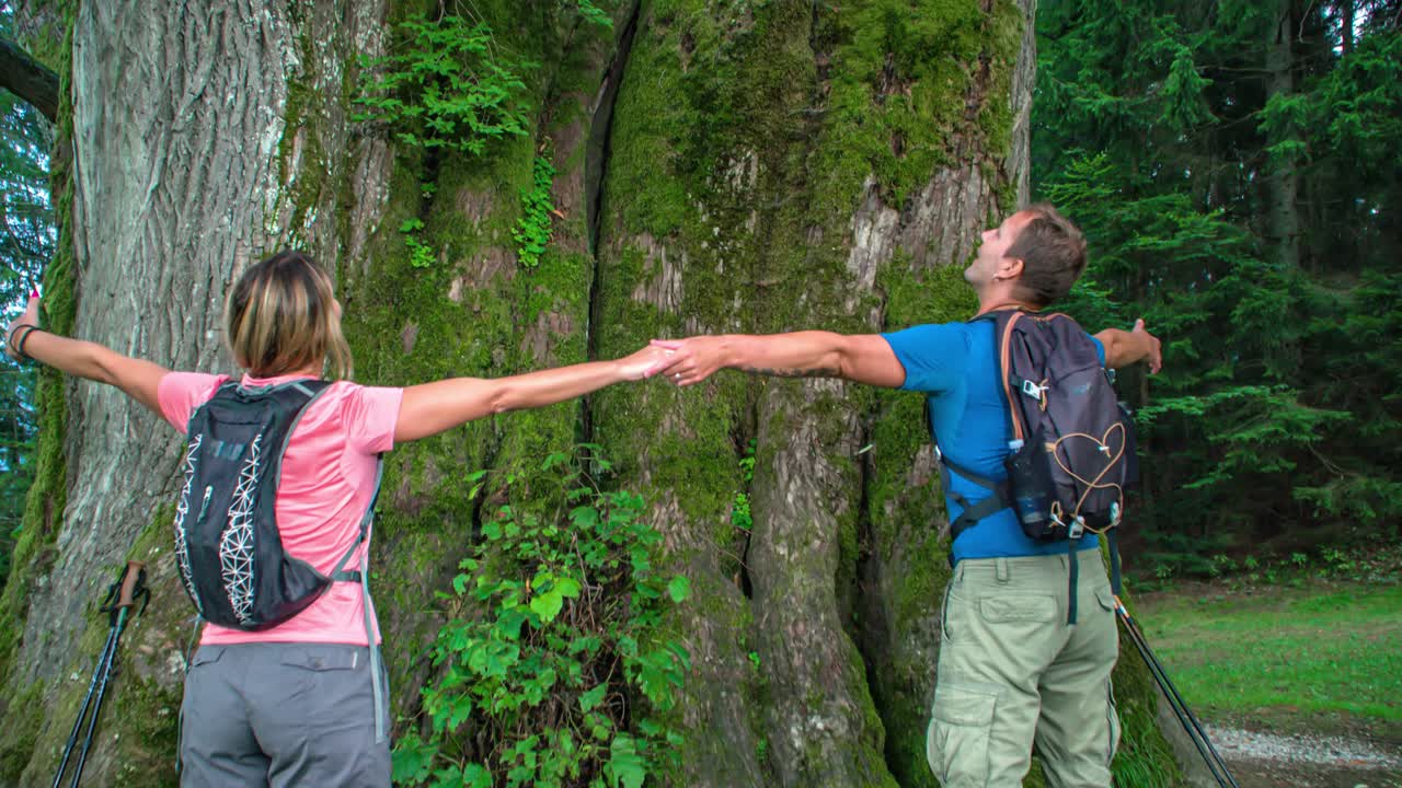 Couple hold hands around large Najevnik linden tree trunk, Slovenia