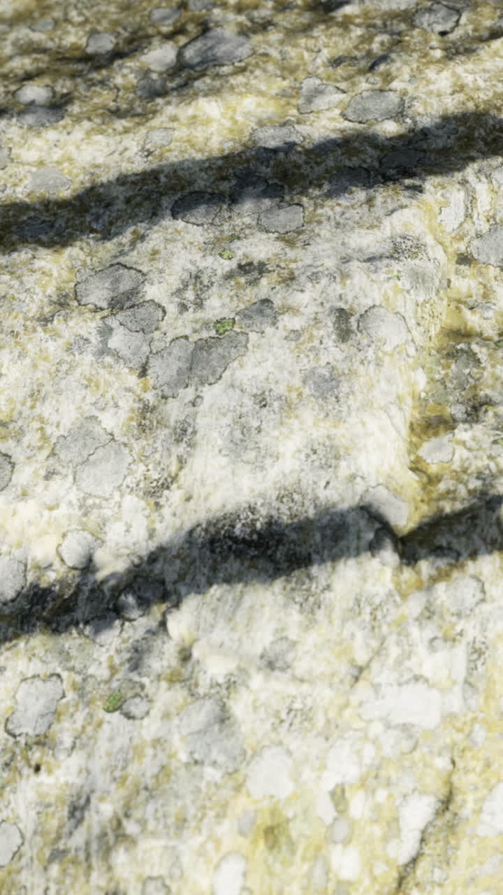 Dettagli della superficie rocciosa con muschio e ombre in un contesto naturale all'aperto.