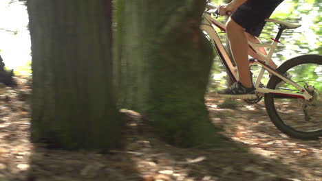 disparo en cámara lenta de un hombre montando en bicicleta de montaña a través de los bosques