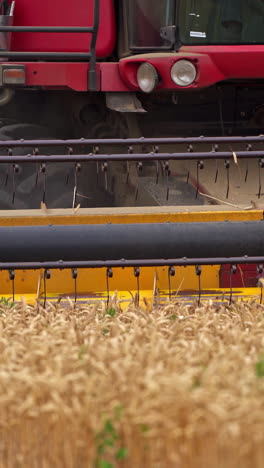 harvester working in the field. a large harvester cuts off the finished wheat