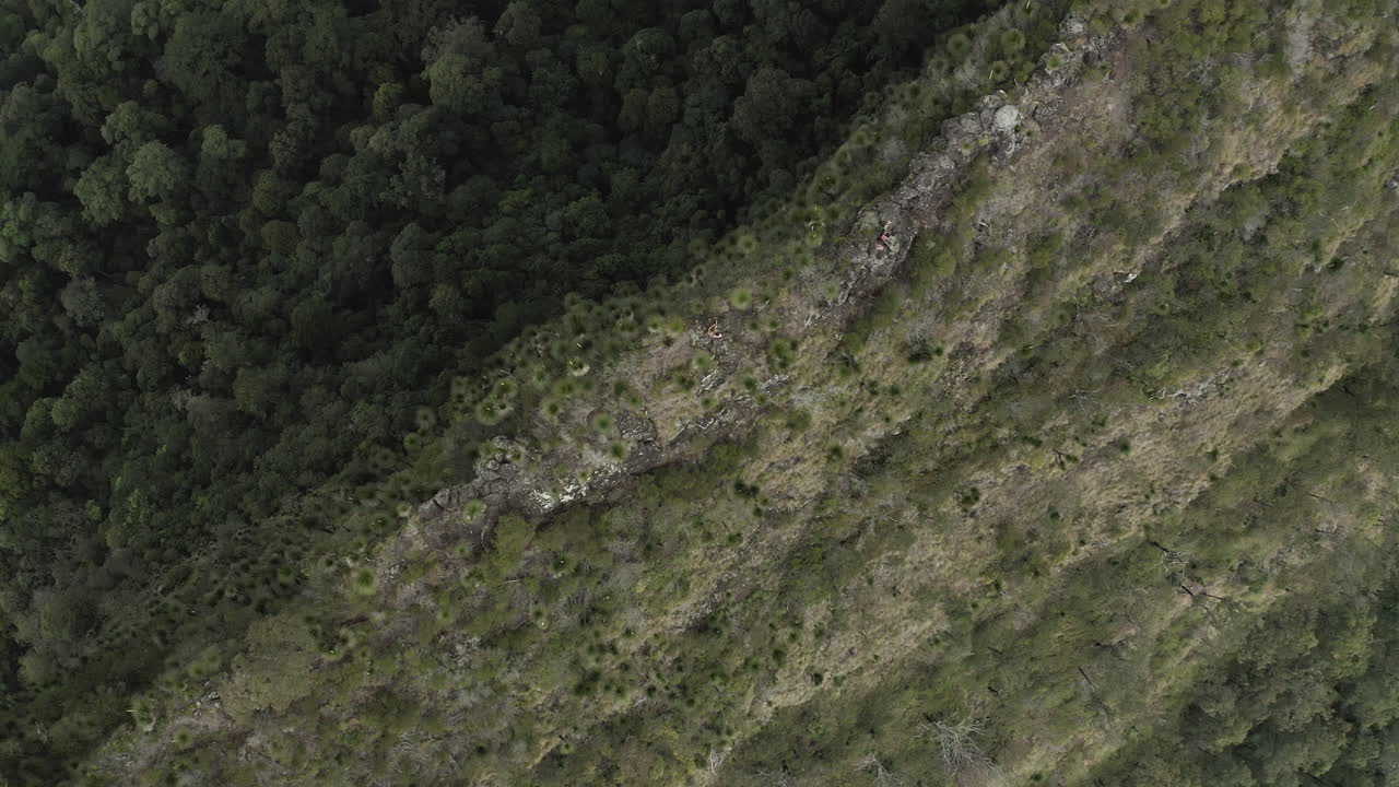 vista superior de un dron de 4k de una gente parada en un acantilado de montaña en el parque nacional border ranges, nueva gales del sur, australia