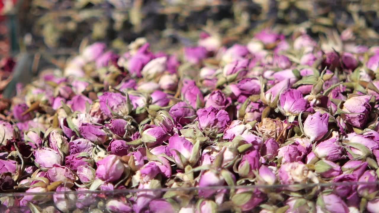 Pile of Dried Rosebuds