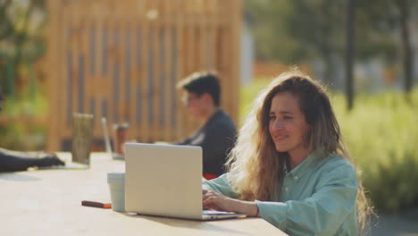 Mujer-De-Negocios-Que-Trabaja-De-Forma-Remota-Con-Una-Computadora-Portátil-En-El-Parque