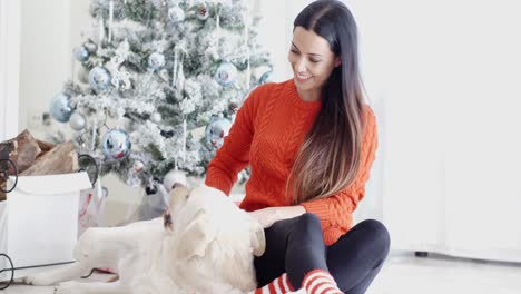 Lachende-Junge-Frau-Mit-Ihrem-Hund-Zu-Weihnachten