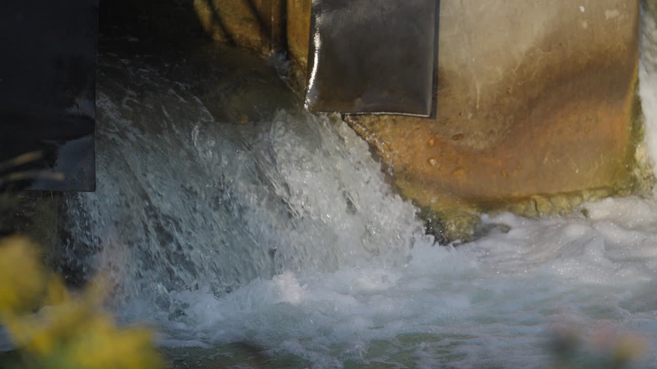 Salmon jump struggle in river, slow motion, serene and hopeful scene