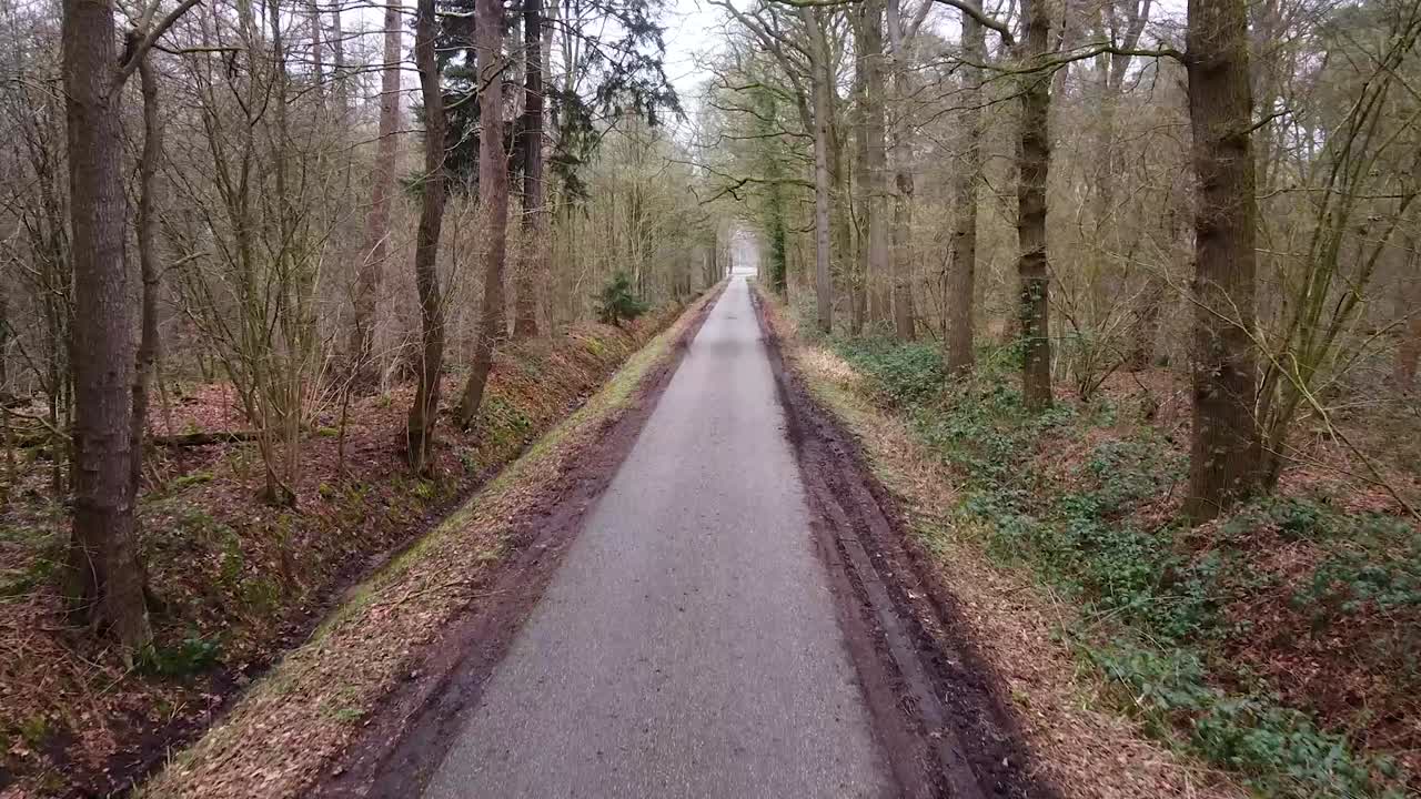 숲에서 도로의 드론 샷